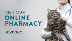 Shop our online pharmacy