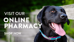 Shop our online pharmacy