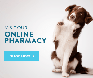 Shop our online pharmacy